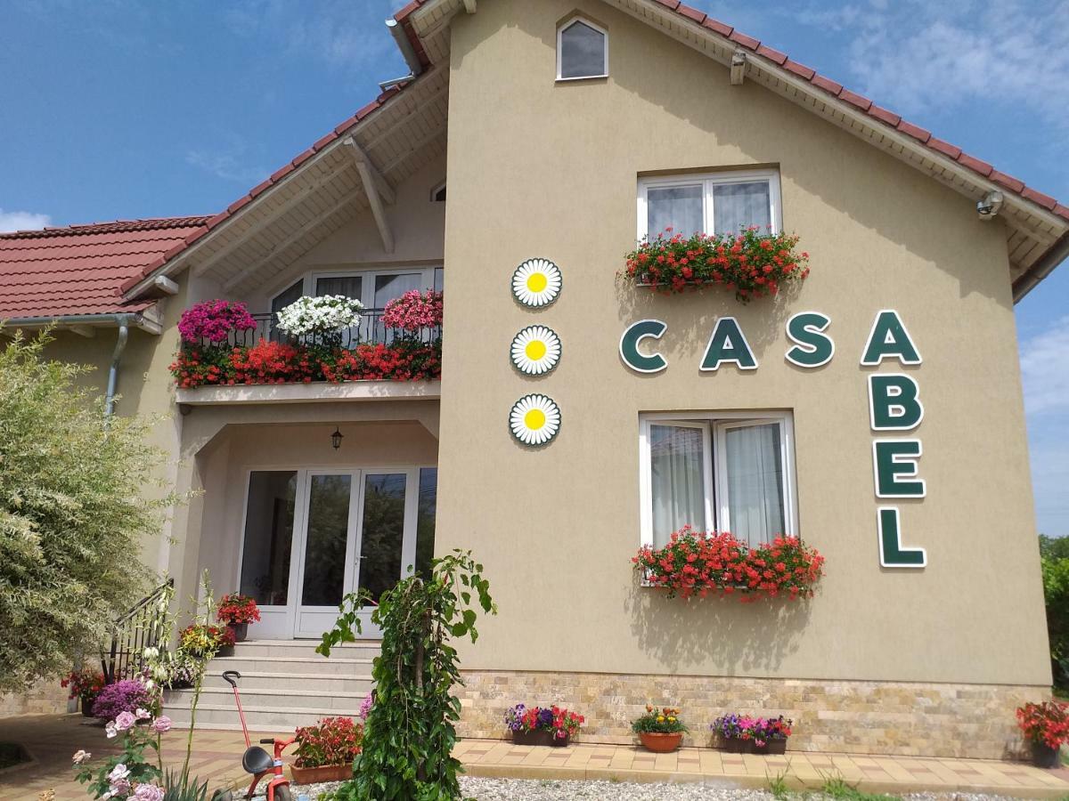 Pensiunea Abel Hotel Mihai Viteazu  Exterior photo